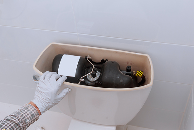 Spegal plumbing toilet installation repair apopka orlando